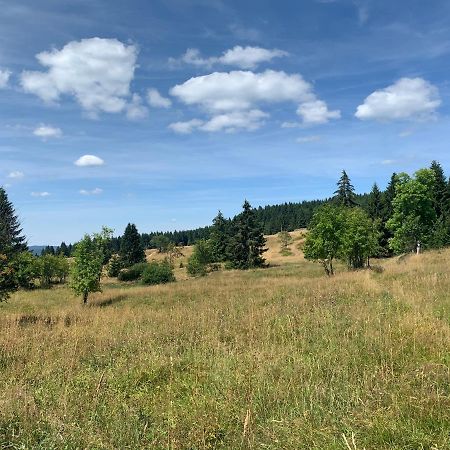 Ubytovani U Mateje Horní Blatná Exteriör bild