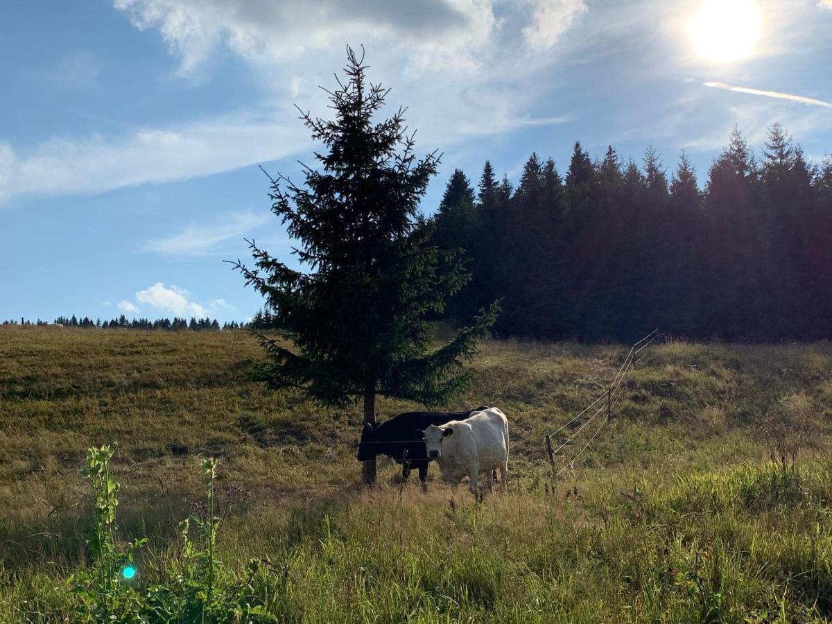 Ubytovani U Mateje Horní Blatná Exteriör bild