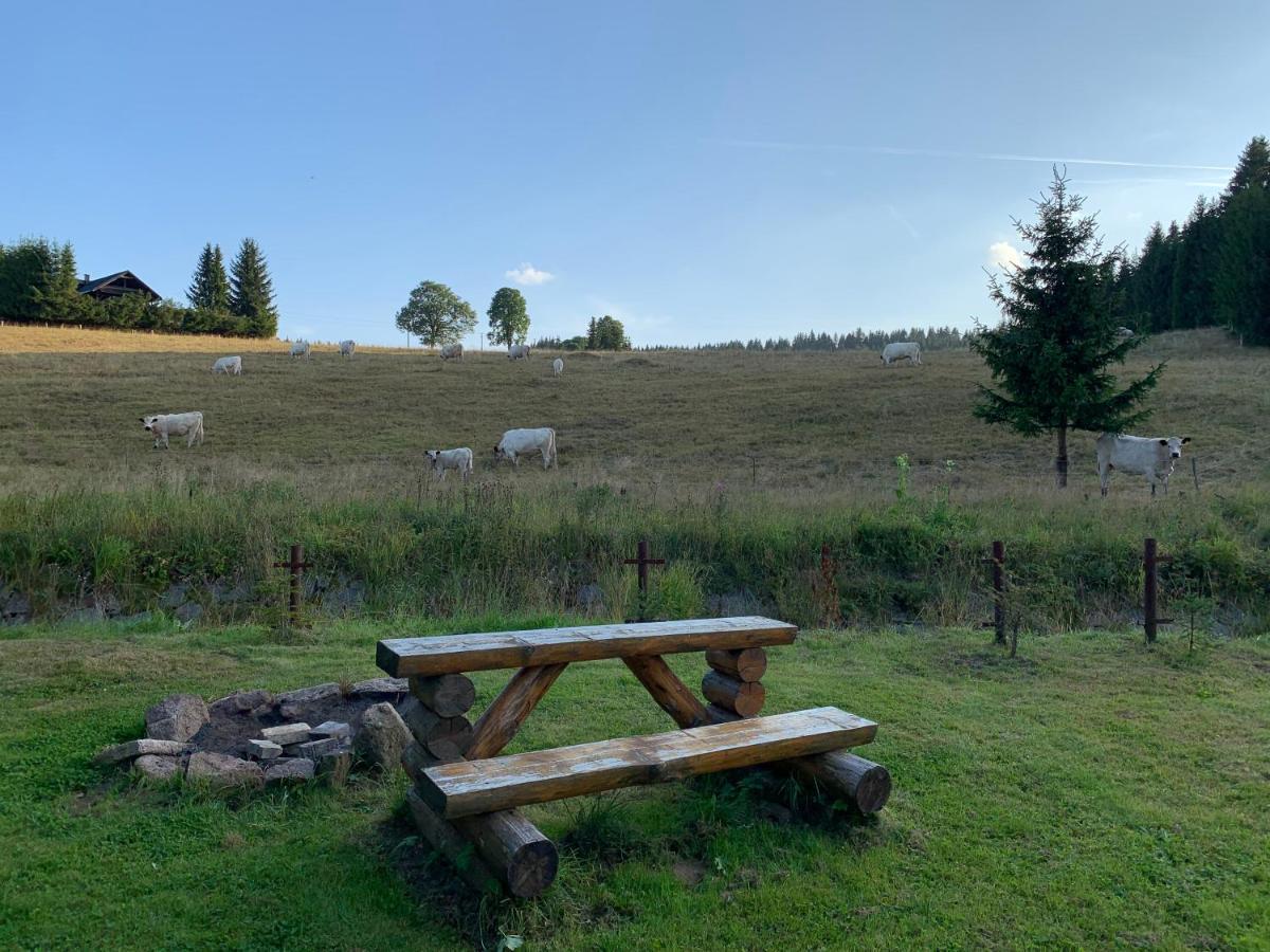 Ubytovani U Mateje Horní Blatná Exteriör bild